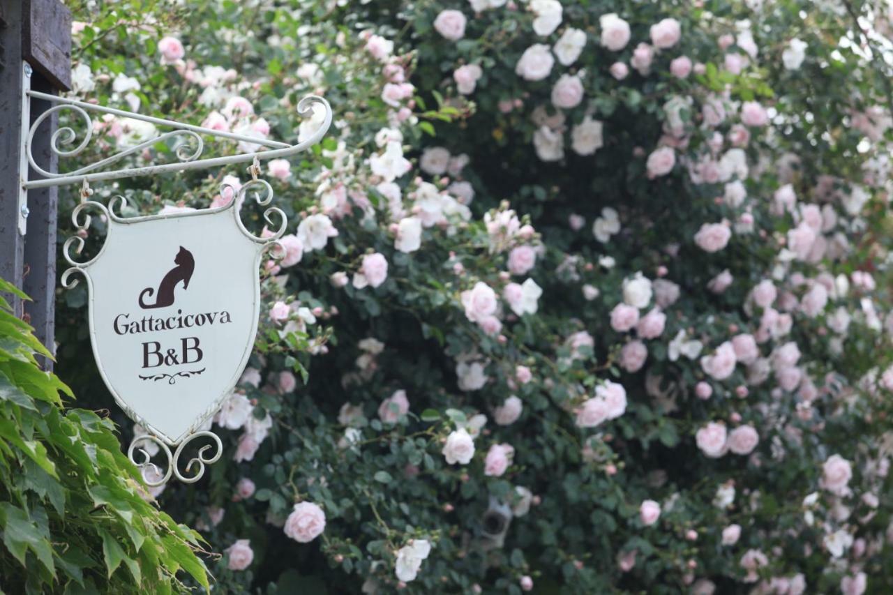 B&B Gattacicova Cava deʼ Tirreni Exterior foto